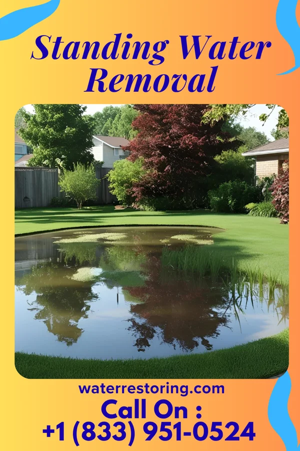 Standing Water Removal in St. Francis, SD